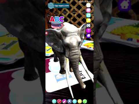 AR Kid's Kit 4D Video