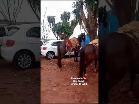 CAVALGADA, SÃO TOMÉ.🐎