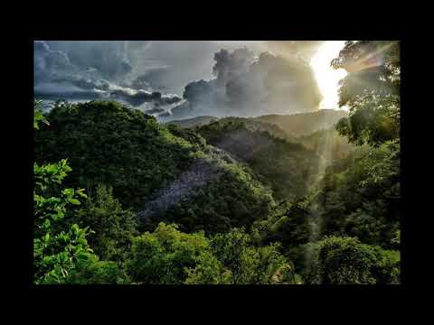 Lucky Melody & Ras Muffet - I Know the Trod dub plate