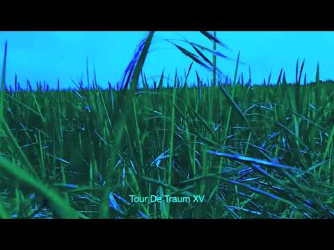 Tour de Traum XV -Continuious DJ MIX   2  (Traum CDDig 42)