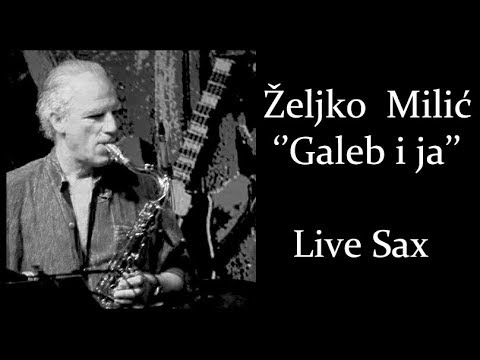 Željko Milić - ''Galeb i ja'' - Live Saxophone Solo