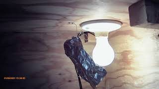 DIY Étuve pour pain, levain, hydromel, fermentation