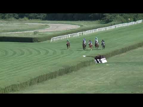 2017.08.20. 5. futam - REMÉNY DÍJ (II.kat.)