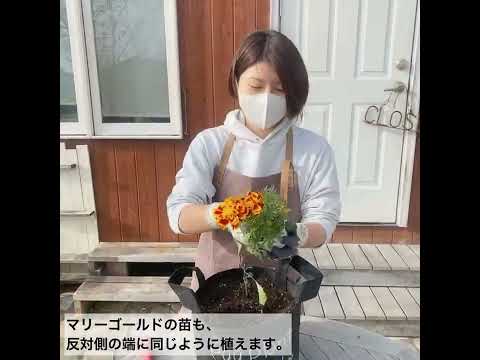 園芸 ナス ナス