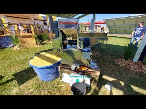 How to produce soybean oil and meal on your farm