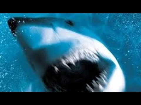 Ciné Review : Peur bleue (1999) Deep Blue Sea Films movies