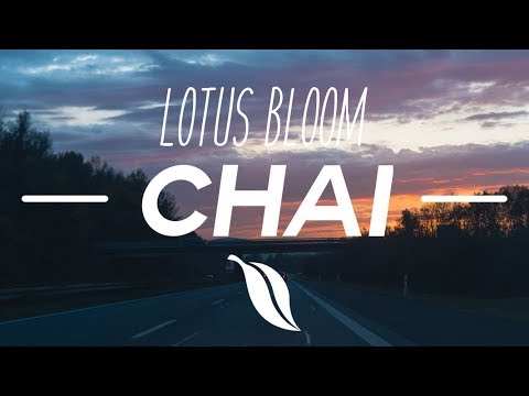 LOTUS BLOOM - CHAI