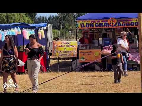 FIESTA DE LA PAPA PAICAVIANA - LOS TEMERARIOS DEL SUR