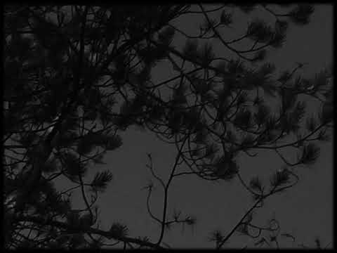 MEF & Narodnoosvobodilni Bend - "ČEZ MREŽE IN ŽICE" [OFFICIAL VIDEO]