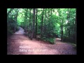 Michael Essl - Taking the Right Fork