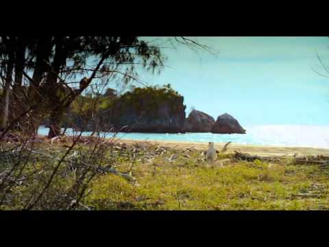 Island of Lemurs: Madagascar TV SPOT 2 (2014) - Nature Documentary HD