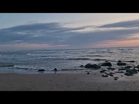 Românii din Olanda! 🇳🇱 #DutchRomanians #ExpatLife