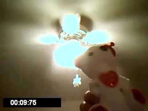 Alien bear comes to earth