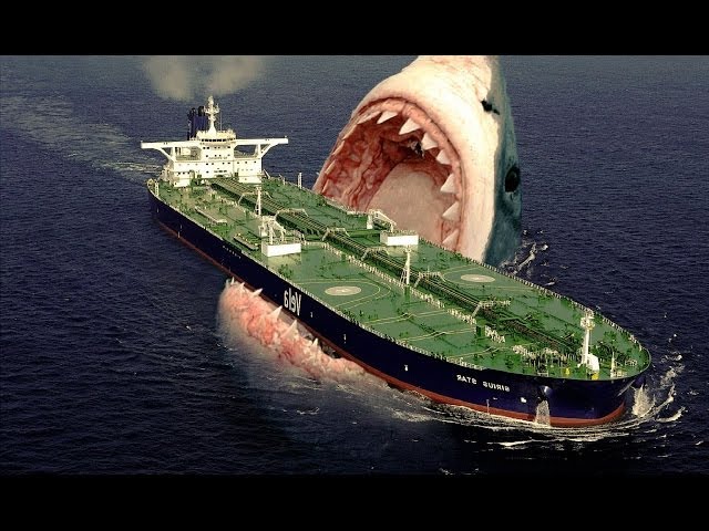 Megalodon Sharks still lives!! Evidence that MEGALODON is not extinct.