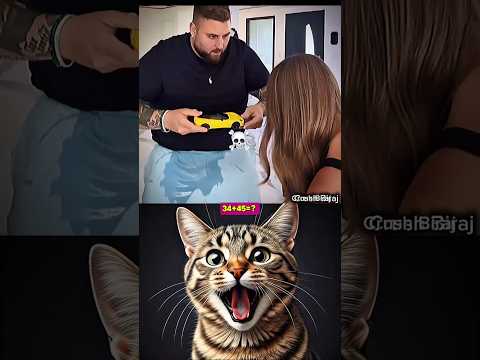 Couple Funny Moments 💀#cat #meme #dance #trending