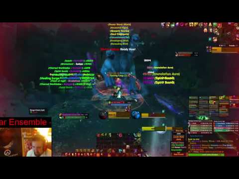 War Ensemble vs Guarm - Heroic (Tank PoV)