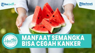 Rutin Konsumsi Buah Semangka Mampu Mencegah Kanker, Mitos atau Fakta? Begini Penjelasannya