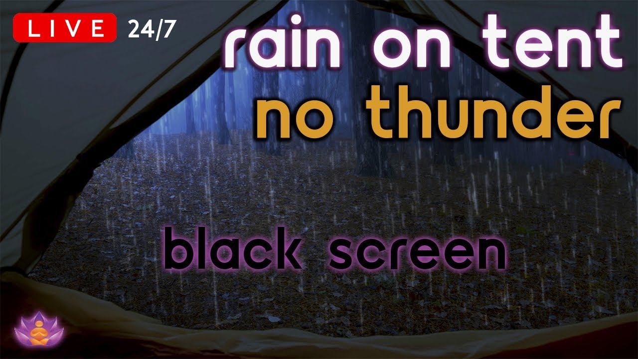 🔴 [LIVE 24/7] Rain on Tent | Rain Ambience No Thunder | Rain Sounds for Sleeping | Black Screen