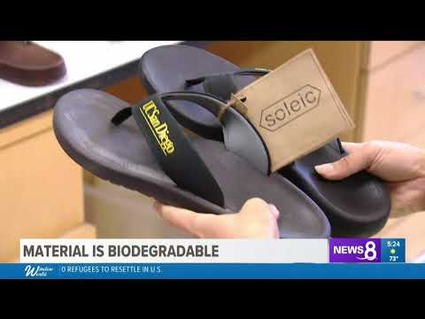 CBS 8: UC San Diego scientists create algae flip flops