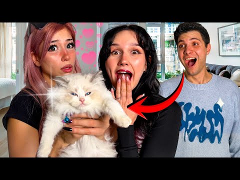 ПЪРВИЯТ НИ ДОМАШЕН ЛЮБИМЕЦ !!!