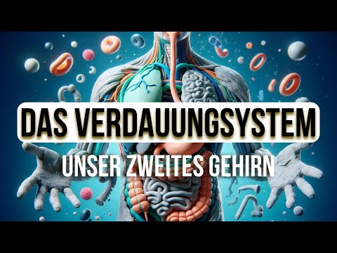 Der Magen Darm Trakt - So funktioniert die Verdauung wirklich (Animation)