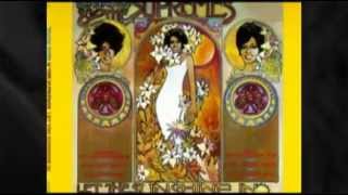 DIANA ROSS AND THE SUPREMES  i'm livin' in shame