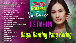 Download lagu 20 Koleksi Terlaris Iis Dahlia (Spesial Dangdut Klasik) mp3