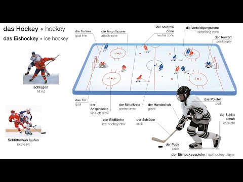 Das Eishockey | Deutsch lernen || Learn German |