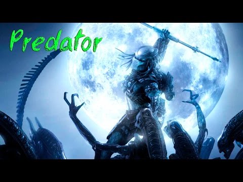 Mechwarrior Online - Predator (Vindicator VND-1AA, 2xPPC)