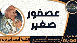الشيخ – أحمد أبو برين(عصفور صغير)