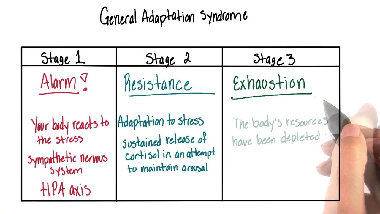 General adaptation syndrome - Intro to Psychology