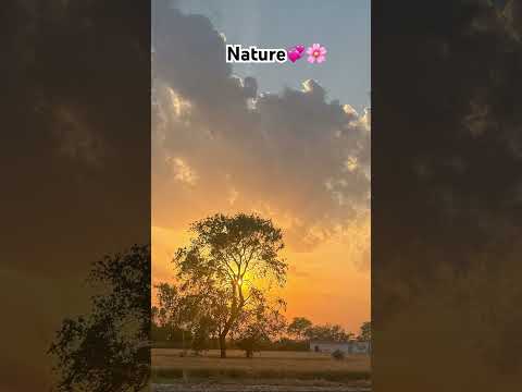 Nature💞🌸