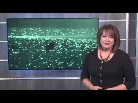 KJRH Latest Headlines | December 30, 7pm