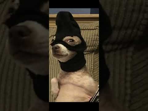 𝑲𝒊𝒍𝒍𝒂 𝑭𝒐𝒏𝒊𝒄 𝑿 𝑹𝒂𝒗𝒂-𝑩𝒓𝒂𝒔𝒊𝒍𝒆𝒊𝒓𝒂 "𝑫𝒐𝒏'𝒕 𝒇*𝒄𝒌 𝒎𝒚 𝒎𝒐𝒐𝒅 𝒕𝒐𝒅𝒂𝒚..."