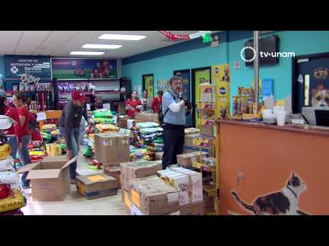 download lagu mp3 mp4 Hospital Banfield Mexico, download lagu Hospital Banfield Mexico gratis, unduh video klip Hospital Banfield Mexico