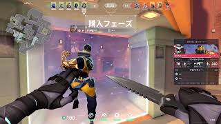 VALORANT コンペ