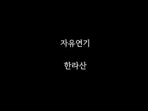 비디오 16