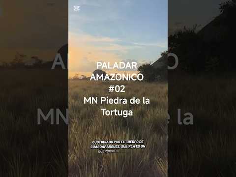 ​🐢 Cap 2: La Piedra de la Tortuga. ¡1.500 millones de años de historia! 🗿✨ #Amazonas #Venezuela