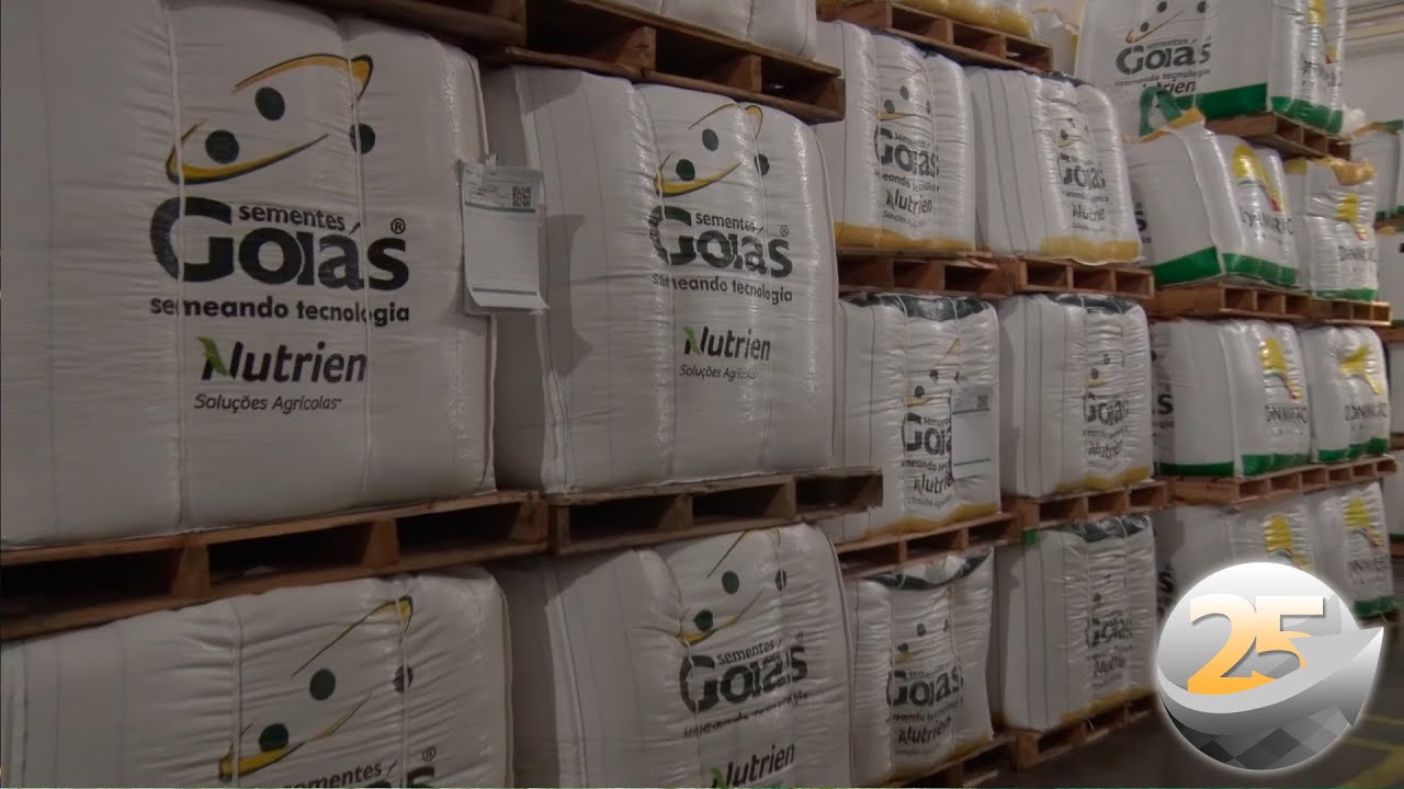 Conheça como é o processo de Tratamento de Sementes Industrial