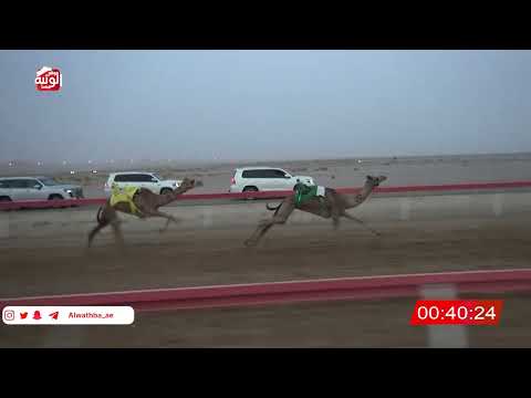  ش 1 (الشاهينيه) لـ سهيل مبارك بن رميله العامري 2:09:09 ، شارة الصندوق 2026/07/18 فطامين الوقن