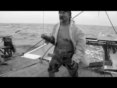 FAAFAITE - DANEE ON HELM