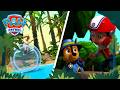 Waterfall Rescue Some Surprising Heroes Help The Pups PAW Patrol 2 HOUR Compilation
