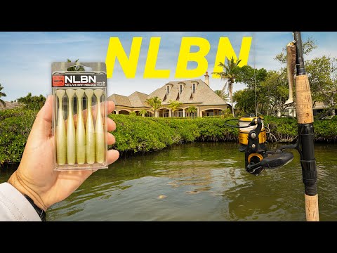 Testing NEW NLBN Lure around Docks and Mangroves! Snook, Redfish, Trout