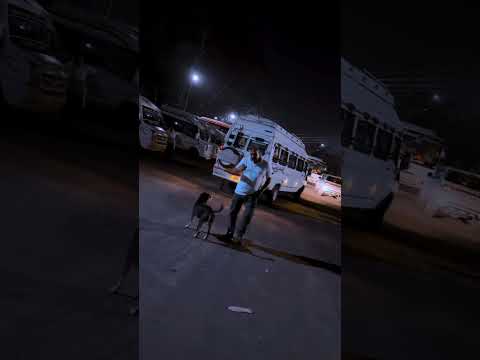 Car hire services for jodhpur