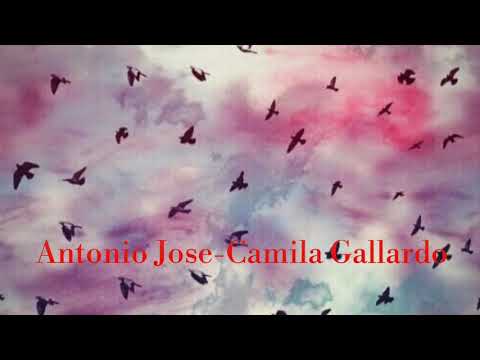 No Es Real-Antonio José, Camila Gallardo