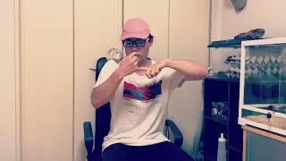 実家でただラットを肩に乗せてダンスしてみた【マイペース男】