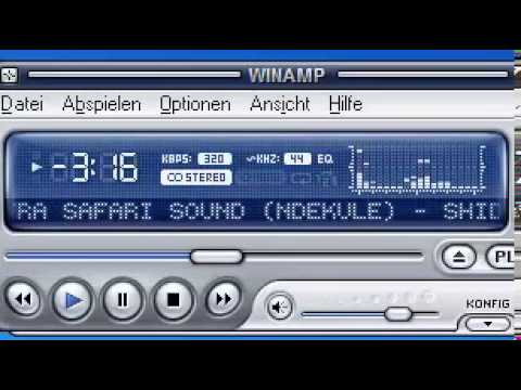 International Orchestra Safari Sound - Shida