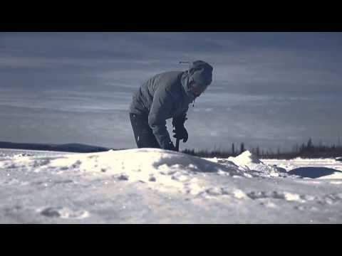 No need to come back