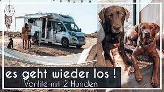 Camper abholen & packen mit 2 Hunde | Bettwäsche batiken | Chocolate Foxred Labrador  KaroLovesMilka