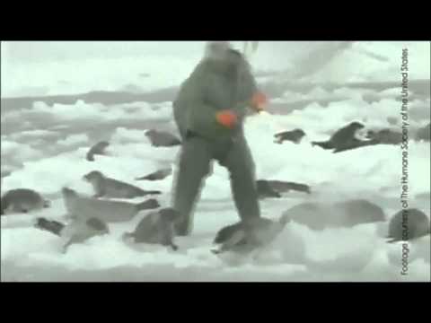 ArdaBayram724’s Video 115454526881 6aQpckx6-xQ